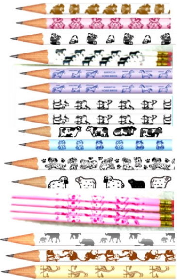 ANIMAL Pencil Assortment